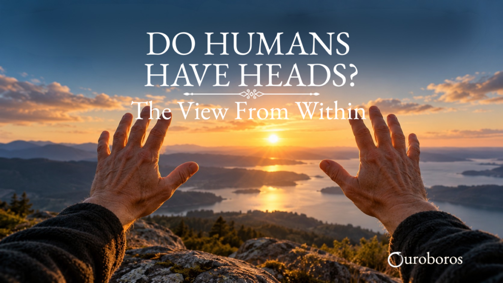 Two hands held open toward a mountain landscape at sunset, representing the first-person experience of looking from within.